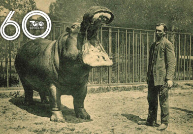 ZOO Wrocław obchodzi 160 lat!