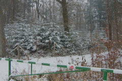 Untitled_261
