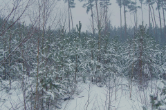 Untitled_281