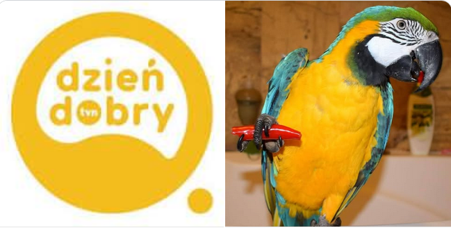 Ola i Maniek w telewizji śniadaniowej TVN