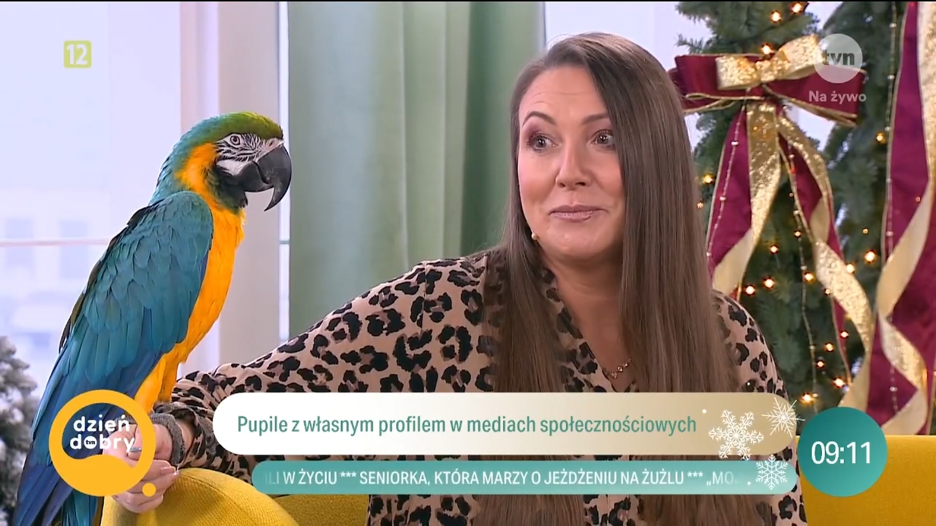 Aleksandra Hanysz i Maniek w „Dzień dobry TVN”